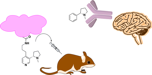 Nicotine vaccine delays the drug's effects in mice