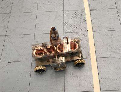NJIT's 'lead tank' motors to a medal at the Chem-E-Car Championship