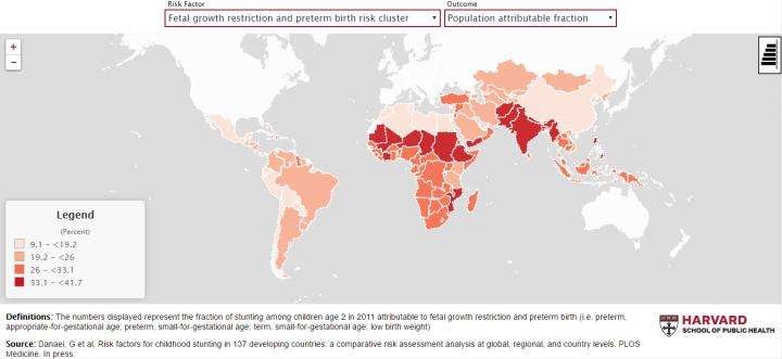 No. 1 risk for child stunting in developing world: Poor growth before birth