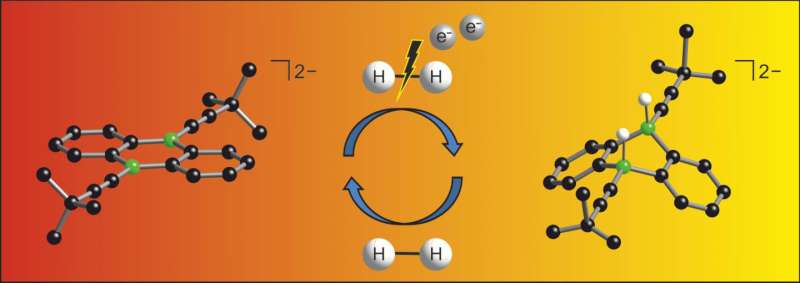 Non-metal catalyst splits hydrogen molecule