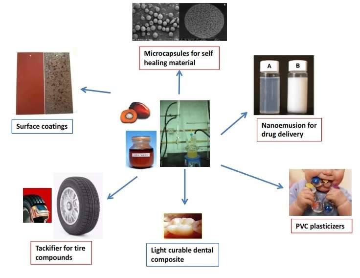 Novel polymeric materials from palm oil derivatives