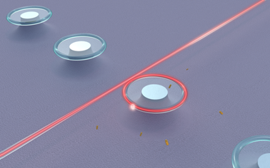 Novel whispering-gallery-type sensor for single nanoparticle detection
