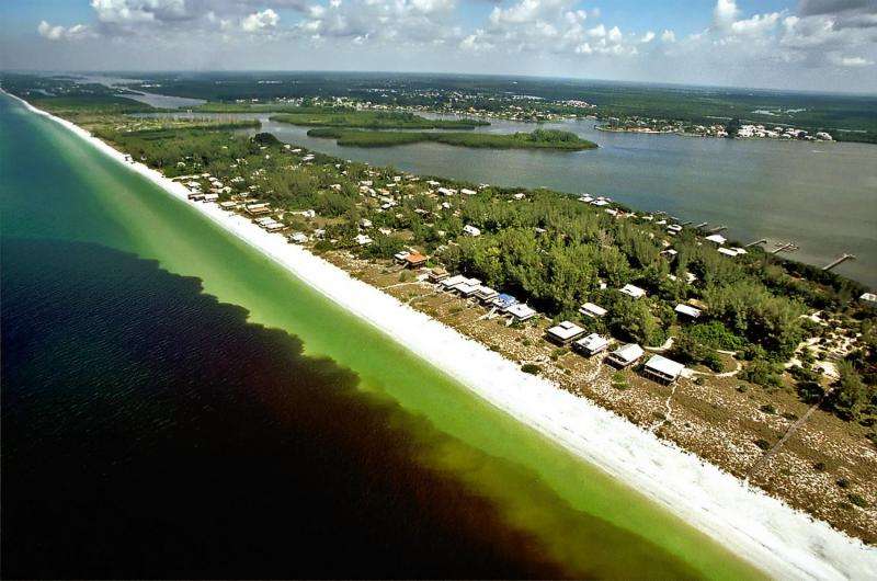Ocean current in Gulf of Mexico linked to red tide