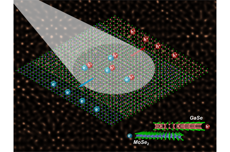 'Odd couple' monolayer semiconductors align to advance optoelectronics