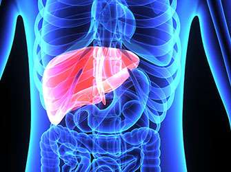 Once hepatitis C viral infection has healed, high-risk portal vein hypertension also diminishes