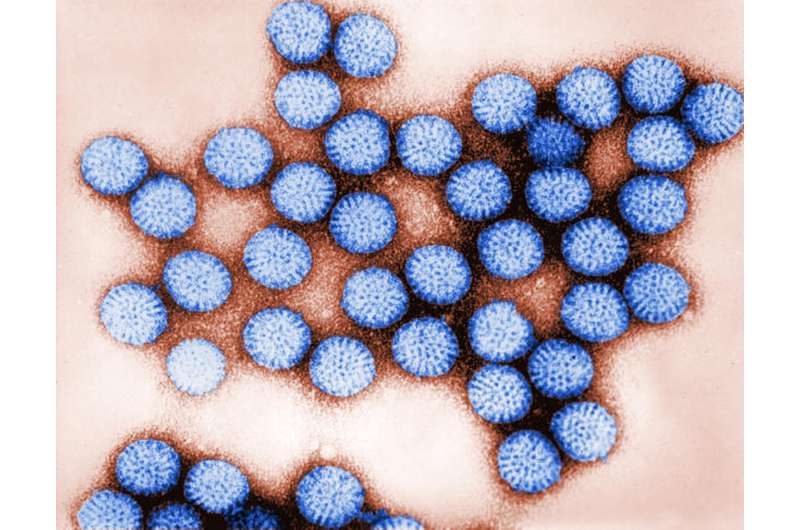 Ontario rotavirus hospitalizations drop 71 percent after launch of infant vaccine program