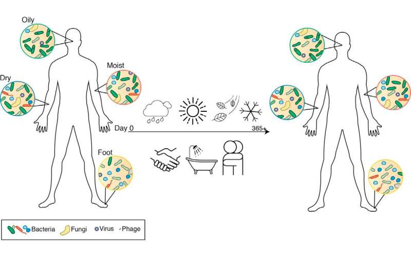 Our personal skin microbiome is surprisingly stable