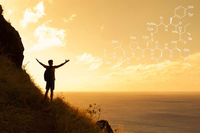 Oxytocin enhances spirituality, new study says