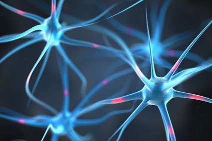Pain-initiating function of glial cells identified for the first time