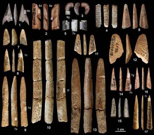 Paleolithic bone tools found from South China