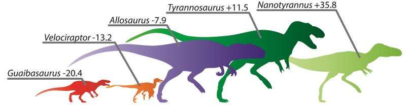 Paleontologists link leg length to running ability in bipedal carnivorous dinosaurs