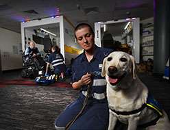 Paramedic students learn to interact with patients and their assistance dogs