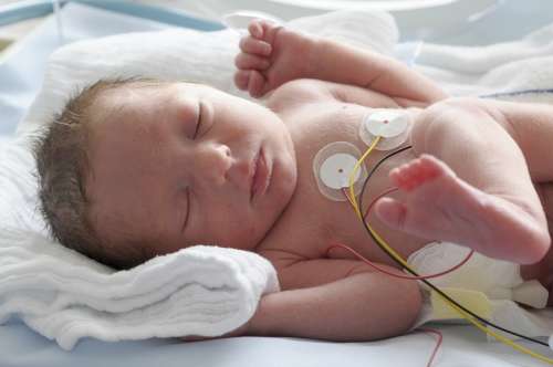 Parents of premature babies get confidence boost from home-from-hospital project