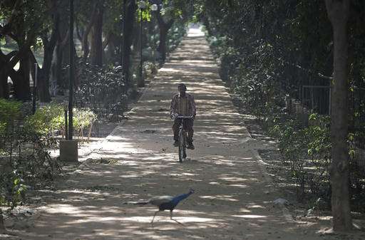 Park in Indian capital shut after suspected bird flu deaths