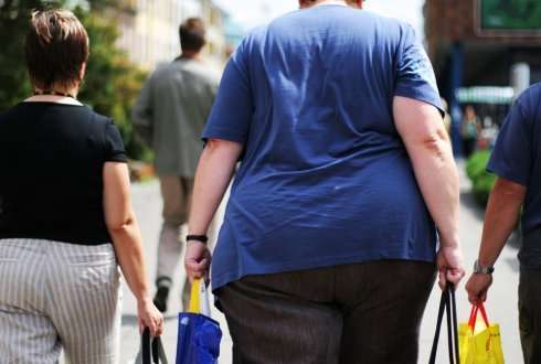 Pasteurised intestinal bacterium reduces effects of obesity and diabetes