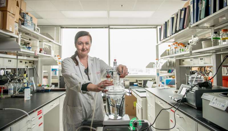 Patented bioelectrodes have electrifying taste for waste