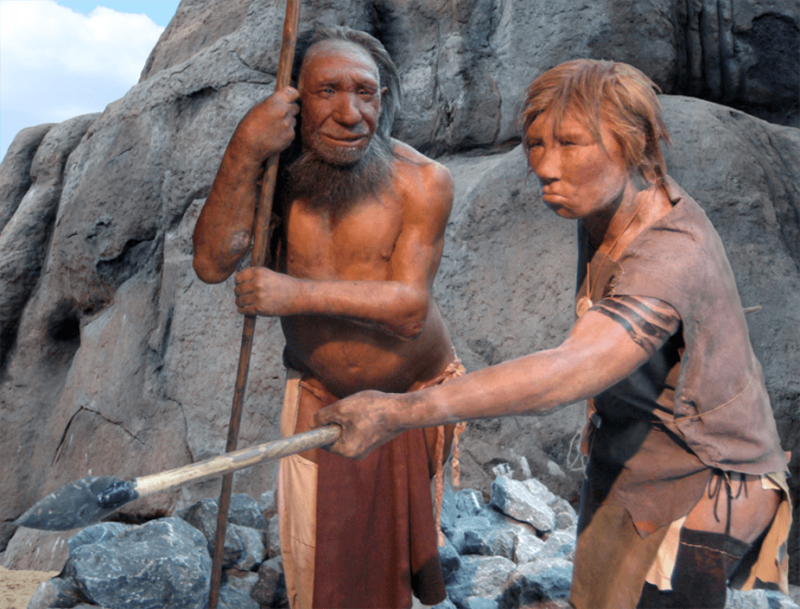 Paying a heavy price for loving the Neanderthals