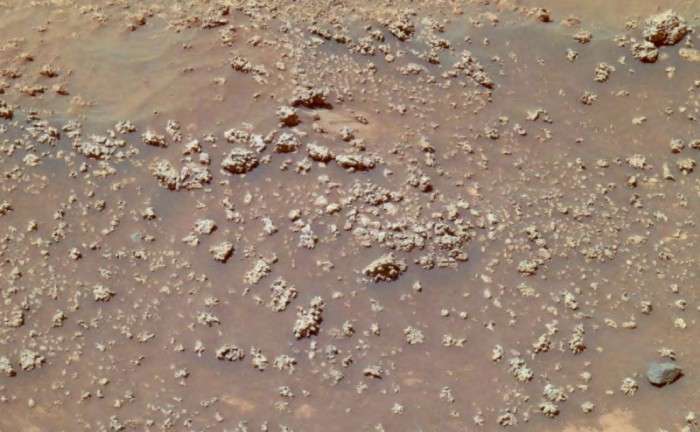 Peculiar ‘cauliflower rocks’ may hold clues to ancient Mars life