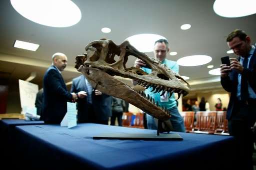 People take pictures of Mongolian fossils before a Repatriation ceremony in New York on April 5, 2016