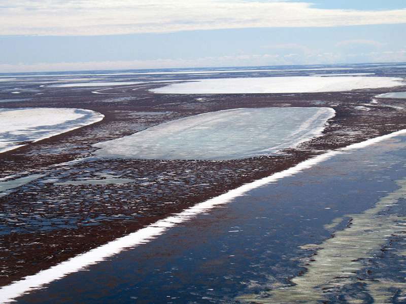 Permafrost thawing below shallow Arctic lakes