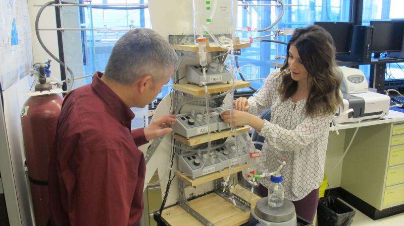Pharmacologist's apparatus models how drugs move through the body