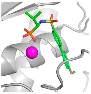 Phosphonate emerging zinc binding group in matrix metalloproteinase inhibitors