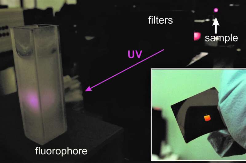 Photography of fluorescence induced by generated UV light in fluorophore. Inset - view of the sample with a self-organized metas