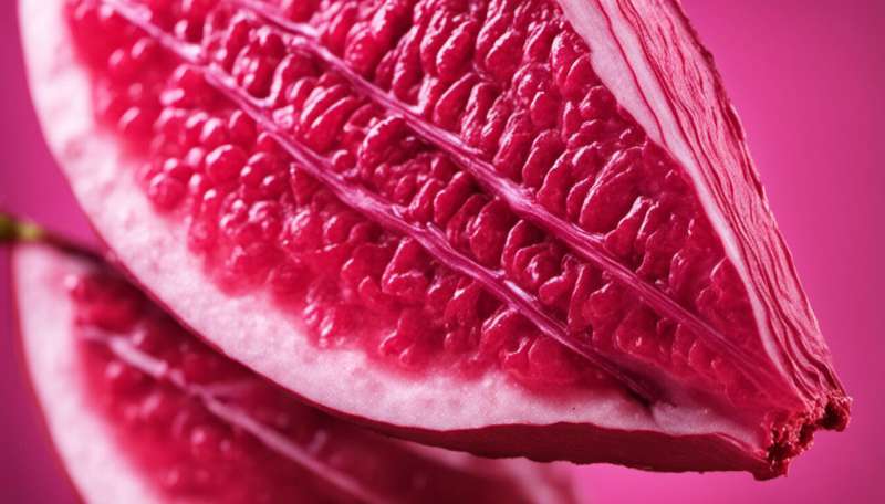 Physical performance enhanced by beetroot ‘superjuice’