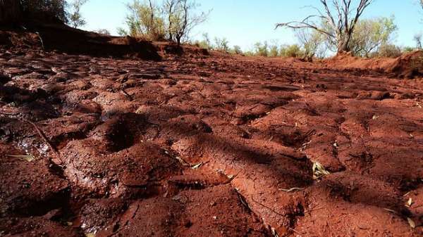 Pilbara soils indicate post-wildfire recovery timeline