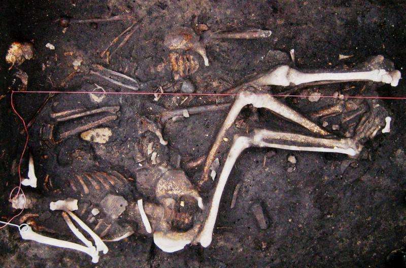 Plague may have persisted in Europe during 300-year period, including 'Black Death'