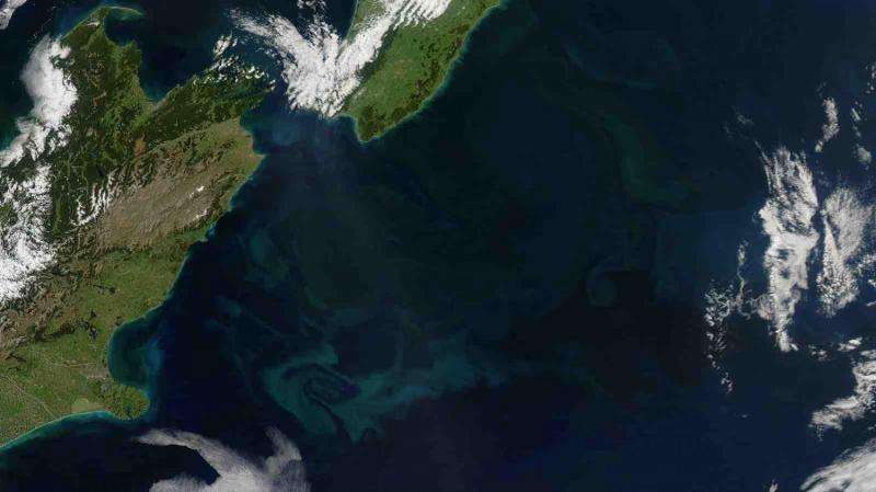 Plankton blooms in New Zealand suggest the ocean is responding to climate change