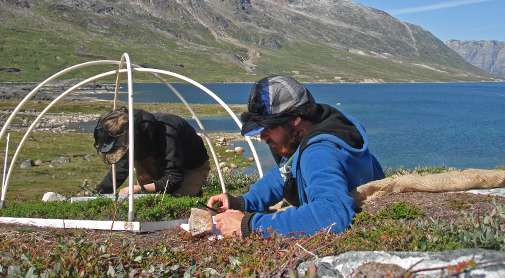 Plant gases can counteract Arctic climate change