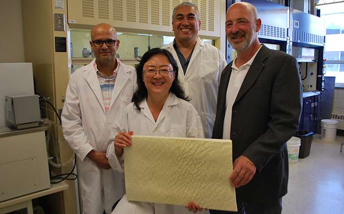 Polyol made from canola oil leading to new greener products
