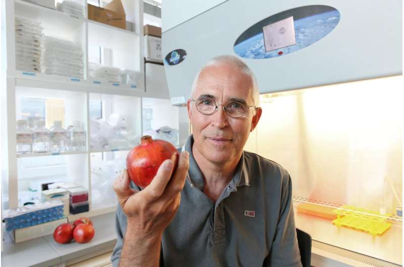 Pomegranate finally reveals its powerful anti-aging secret