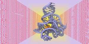Predicting the 3D structure of biomolecules