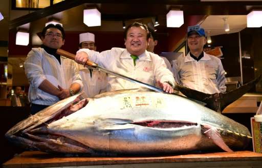 President of sushi restaurant chain Sushi-Zanmai, Kiyoshi Kimura, displays a 200kg bluefin tuna at his Tokyo restaurant that was