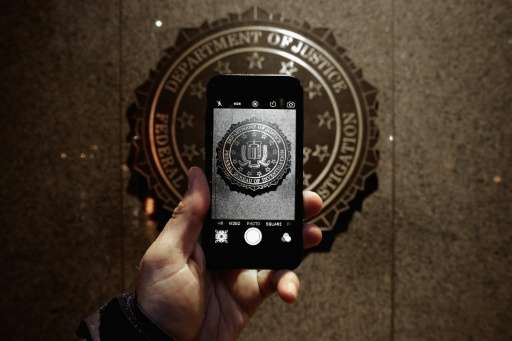 Professional hackers discovered at least one software flaw that helped the FBI break into an iPhone used by a San Bernardino att