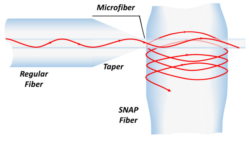Propagation of light wave in a SNAP fiber