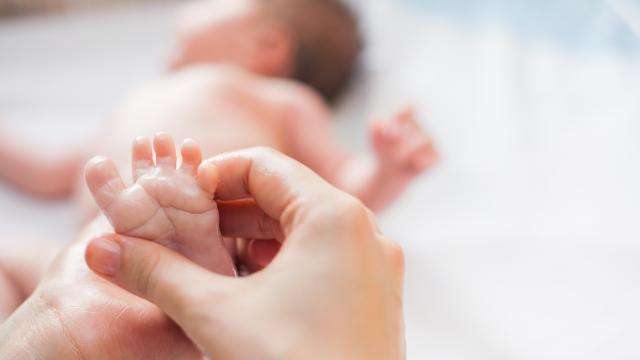 Protecting babies from eczema with low-cost Vaseline