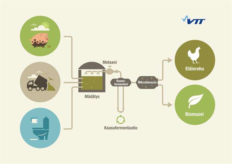 Protein feed and bioplastic from farm biogas