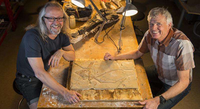 Pterosaur discovered in Lebanese quarry after 95 million years