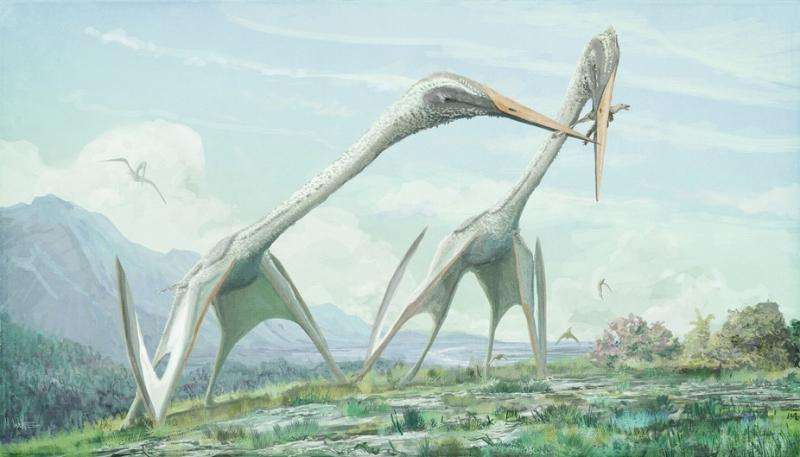 Pterosaurs should have been too big to fly – so how did they manage it?