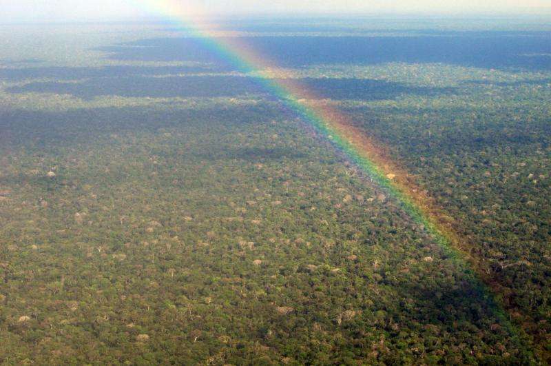 Remote sensing and forest inventories contribute to saving tropical forests