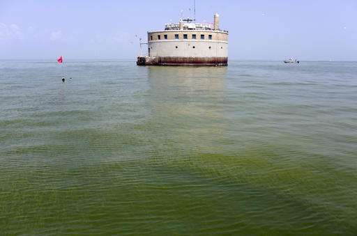 Report: Farmers doing too little to stop Lake Erie algae