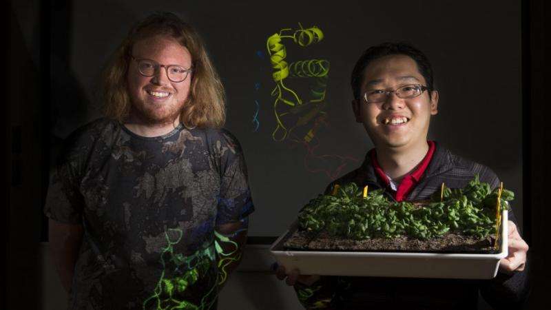 Research effort to develop drought-proof crops