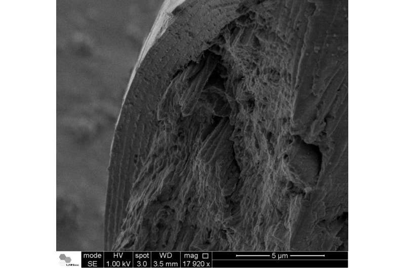 Research leads to new discoveries about structure of human hair