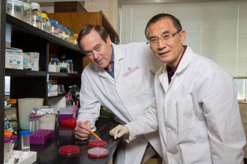 Research on common bacterium opens door to fighting gastric cancer