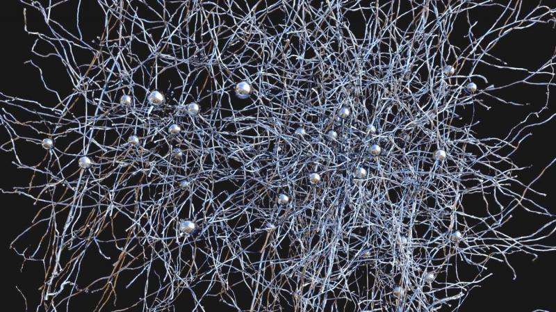 Research on largest network of cortical neurons to date profiled in Nature