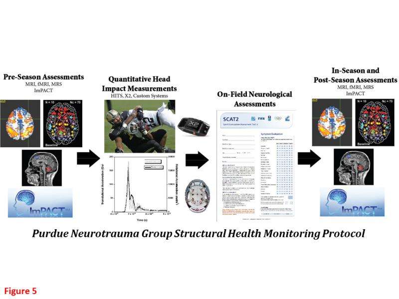Research supports ‘structural health monitoring’ to reduce head trauma in contact sports