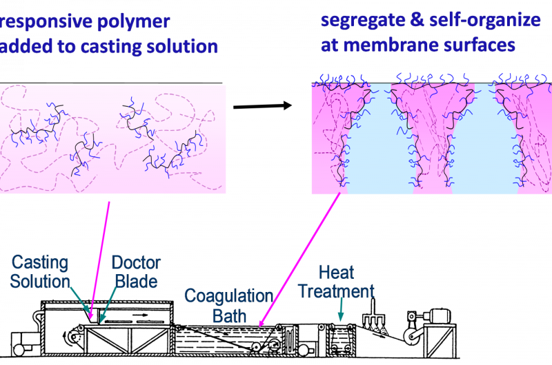Responsive filtration membranes by polymer self-assembly